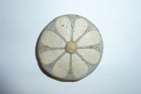 figurative ostracon