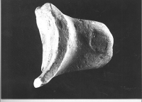 Thumbnail image for commercial amphora handle
